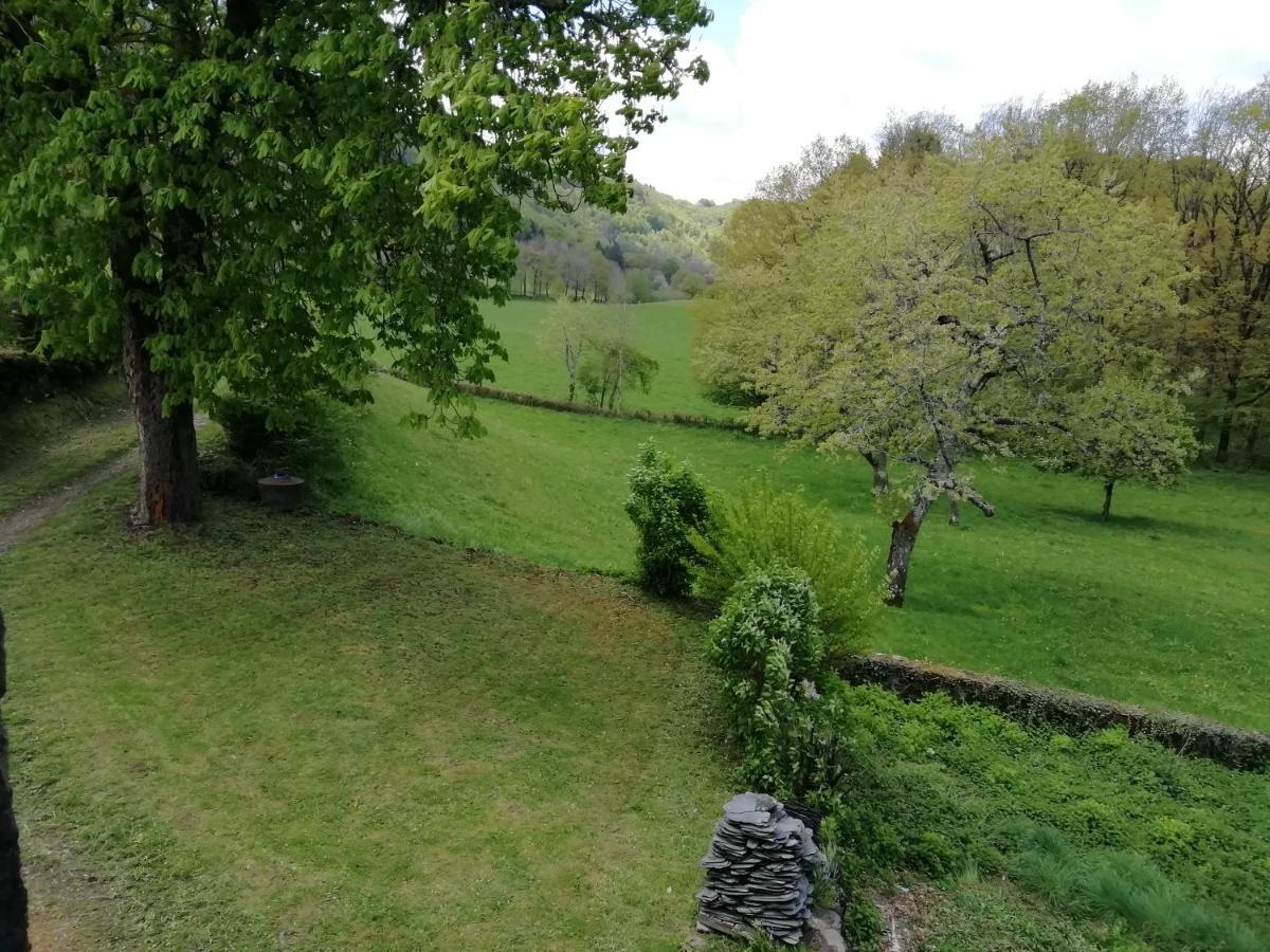 Maison à la campagne au cœur du Cantal dept 15 Marmanhac Esterno foto
