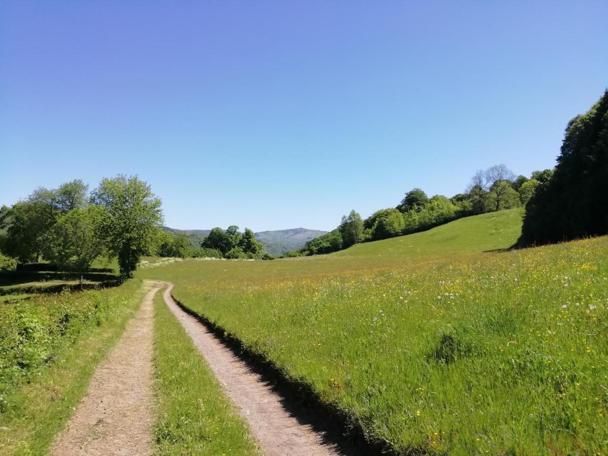 Maison à la campagne au cœur du Cantal dept 15 Marmanhac Esterno foto
